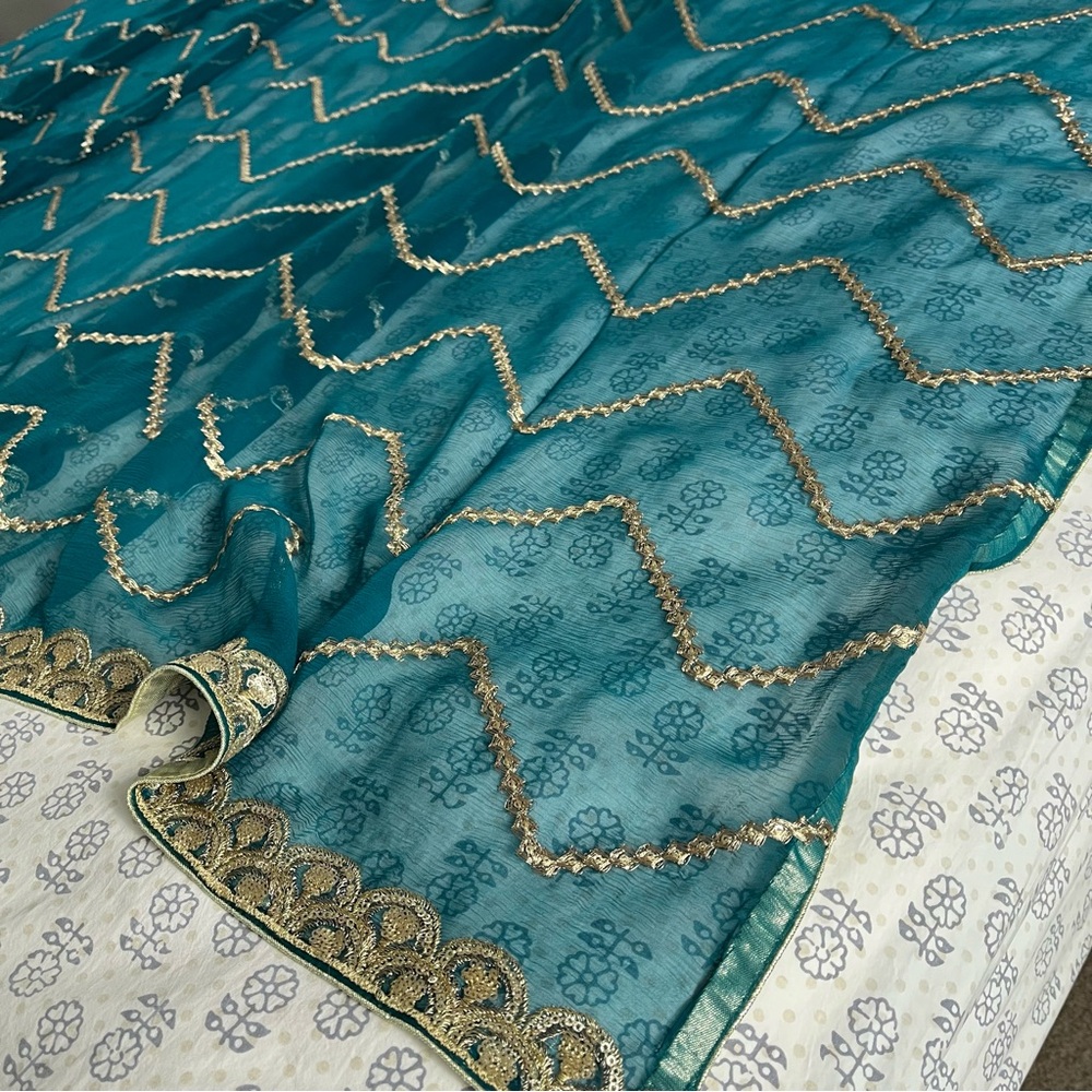 Sequin Embellished Chiffon Dupatta/Scarf - Picture 9 of 12